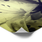 Poster Fleurs Lys Couleur Partielle Noir Et Blanc (Coin)