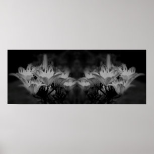 Poster Fleurs Lys En Miroir Noir Et Blanc Abstrait