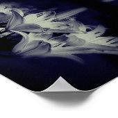 Poster Fleurs Lys En Noir Et Blanc Abstrait (Coin)