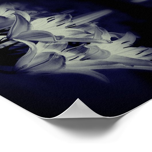 Poster Fleurs Lys En Noir Et Blanc Abstrait (Coin)