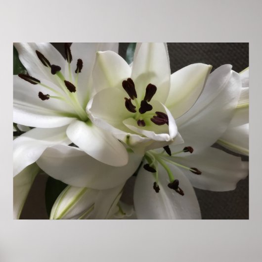 Poster Fleurs Lys Orientales Blanches (Devant)
