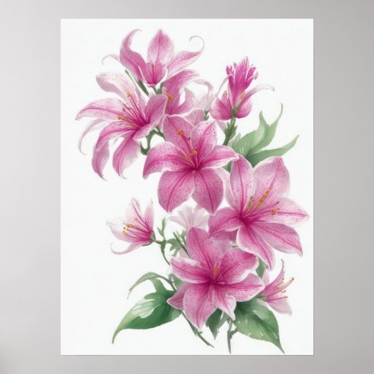 Poster Fleurs Lys Orientales Roses (Devant)