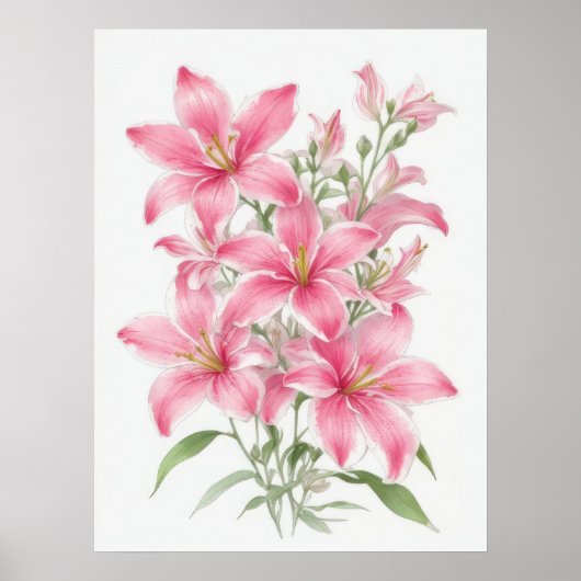 Poster Fleurs Lys Roses (Devant)