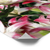 Poster Fleurs Lys Rouges Et Blanches (Coin)