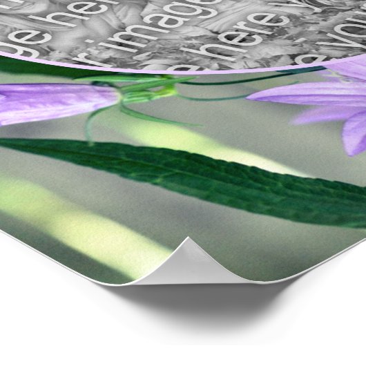 Poster Fleurs Lys Violet Cadre Créer Votre Propre Photo (Coin)