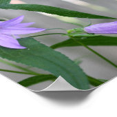 Poster Fleurs Lys violettes délicates Abstraites (Coin)