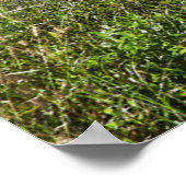 Poster Fleurs | Madeira Island Portugal (Coin)