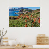 Poster Fleurs | Madeira Island Portugal (Cuisine)
