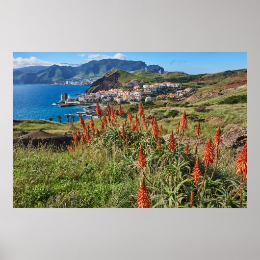Poster Fleurs | Madeira Island Portugal (Devant)
