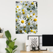 Poster Fleurs marguerites (Bureau à domicile)