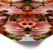 Poster Fleurs marguerites africaines roses Abstraites (Coin)