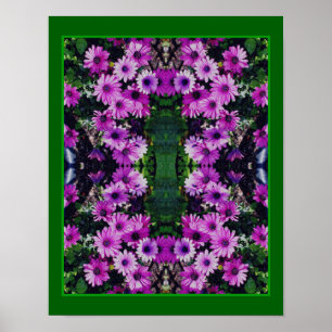 Poster Fleurs marguerites violettes africaines miroir Abs