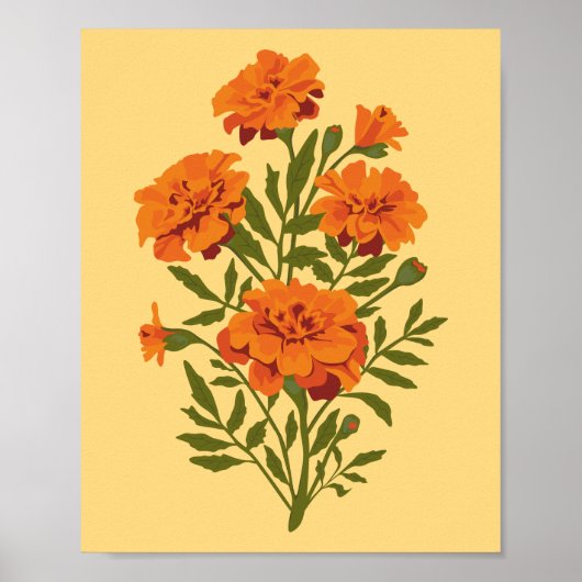 Poster Fleurs Marigold (Devant)