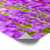 Poster Fleurs | Mont Fugi Japon (Coin)