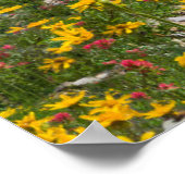 Poster Fleurs | Montana Flower Path (Coin)