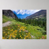 Poster Fleurs | Montana Flower Path (Devant)