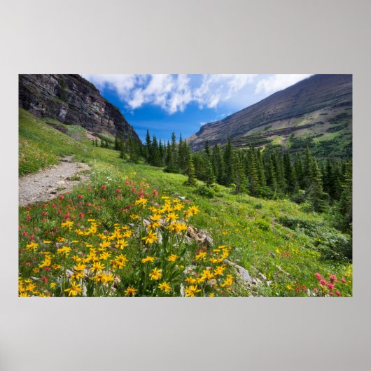 Poster Fleurs | Montana Flower Path (Devant)