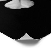 Poster Fleurs noires et blanches en gros plan (Coin)