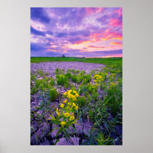 Poster Fleurs   North Dakota Red River Valley