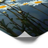 Poster Fleurs Nymphenburg (Coin)