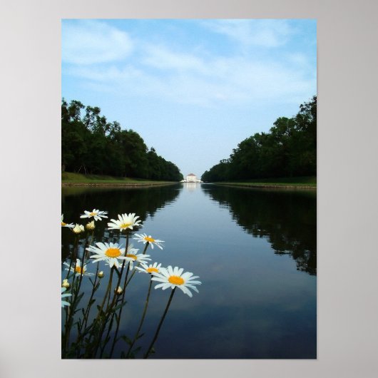 Poster Fleurs Nymphenburg (Devant)