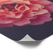 Poster Fleurs oeillets roses (Coin)
