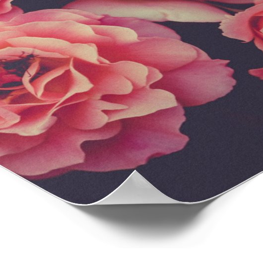 Poster Fleurs oeillets roses (Coin)