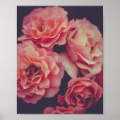 Poster Fleurs oeillets roses (Devant)