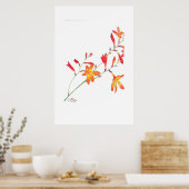 Poster Fleurs orange (Cuisine)