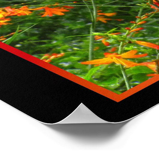 Poster Fleurs orange en forêt (Coin)