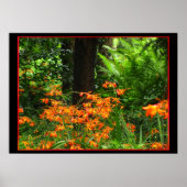 Poster Fleurs orange en forêt (Devant)