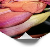 Poster Fleurs orange et violette (Coin)