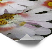 Poster Fleurs Papillon Blanc Rose et Violet (Coin)