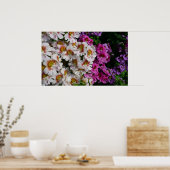Poster Fleurs papillon rose blanc et violet (Cuisine)