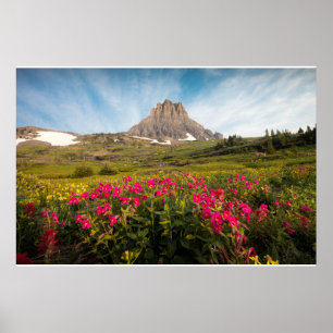 Poster Fleurs   Parc national des Glaciers du Montana