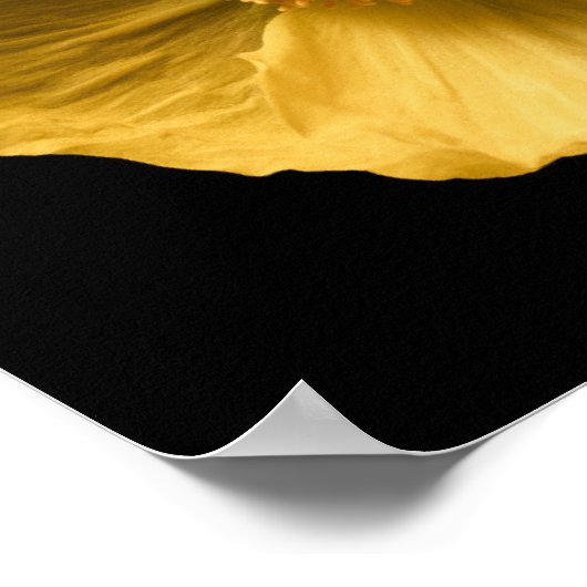 Poster Fleurs | Pavot jaune (Coin)