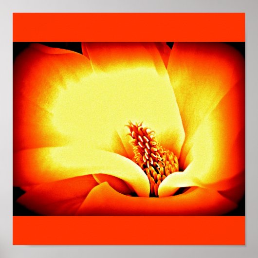 Poster Fleurs peintes à l'affiche 9 (Devant)
