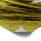 Poster fleurs peintes à l'huile près de la mer, champ de (Coin)