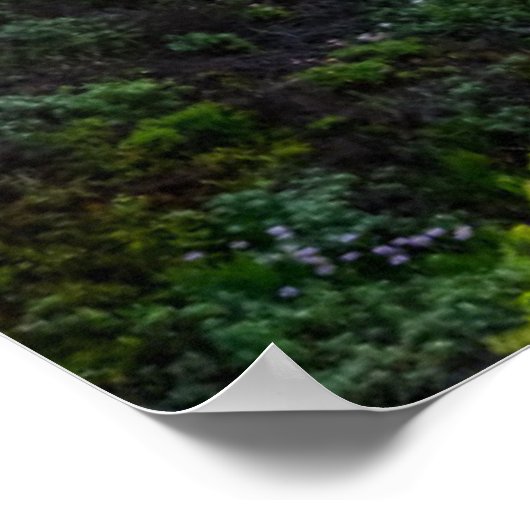 Poster Fleurs | Père Noël Cruz Californie (Coin)