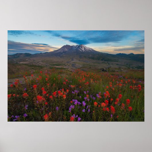 Poster Fleurs | Pinceau indien & Penstemon (Devant)