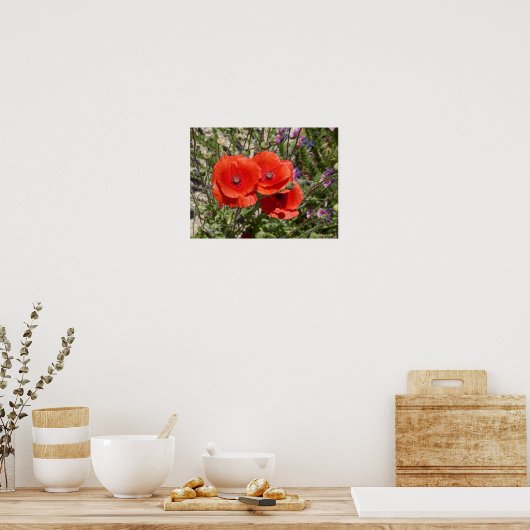 POSTER FLEURS POPPY (Cuisine)