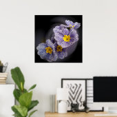 Poster Fleurs Primrose (Bureau à domicile)
