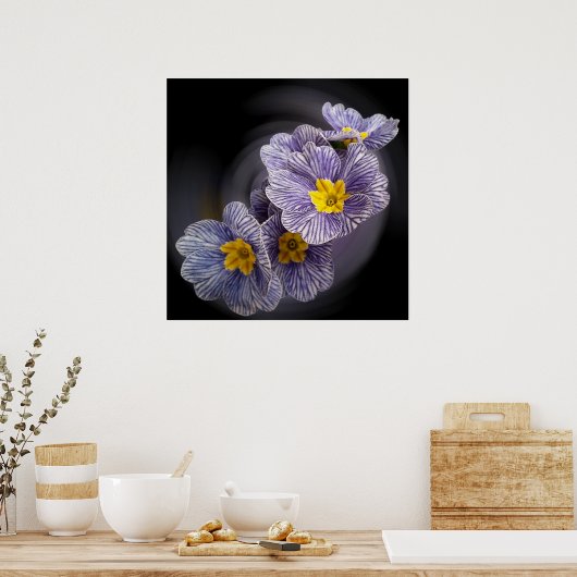 Poster Fleurs Primrose (Cuisine)