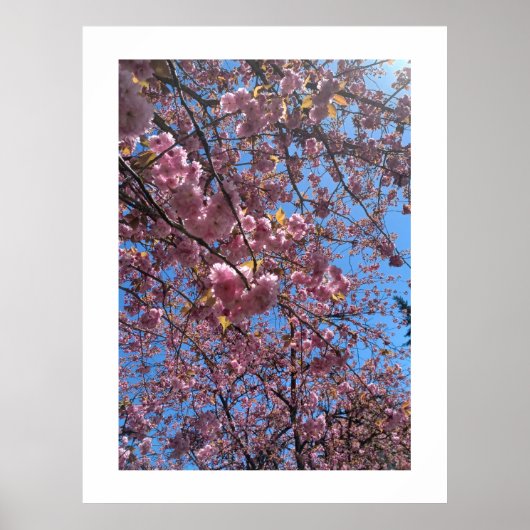 Poster Fleurs printanières (Devant)