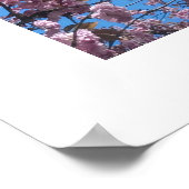 Poster Fleurs printanières (Coin)