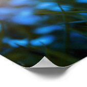 Poster Fleurs printanières dans le champ (Coin)