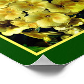 Poster Fleurs printanières du Primrose jaune Abstrait (Coin)