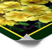 Poster Fleurs printanières du Primrose jaune Abstrait (Coin)