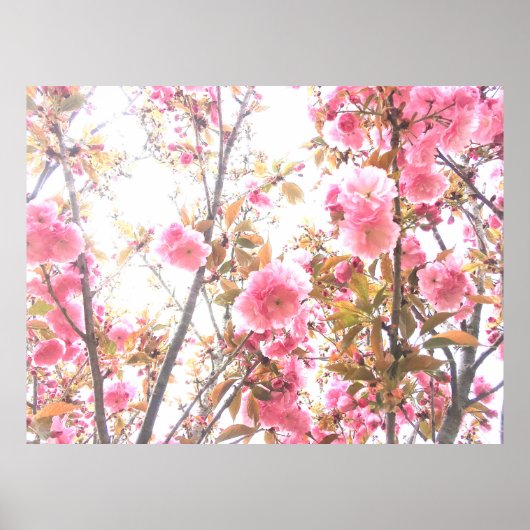Poster Fleurs printanières Floral rose cerise fleurs Abst (Devant)