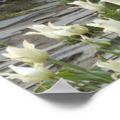 Poster Fleurs printanières le long d'un chemin de jardin, (Coin)